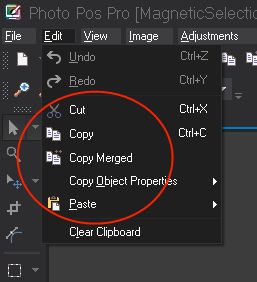 Copy and Paste (Edit Menu)